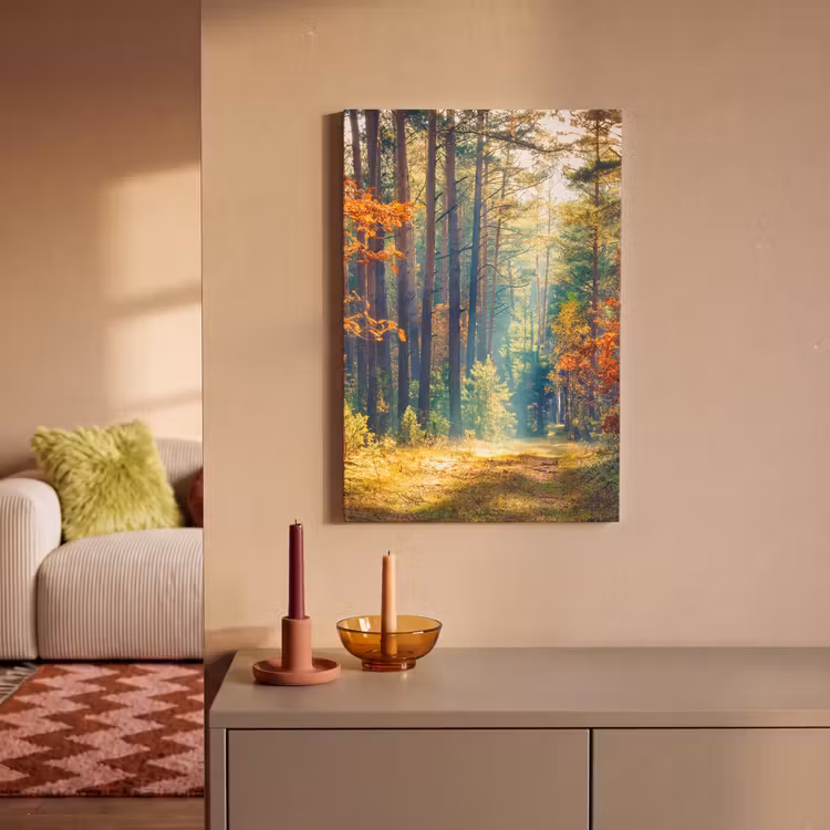 Canvas Print - Forest - Sun - Nature - Fall — 1