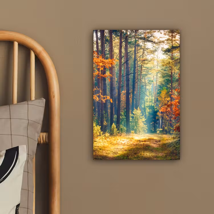 Canvas Print - Forest - Sun - Nature - Fall — 2