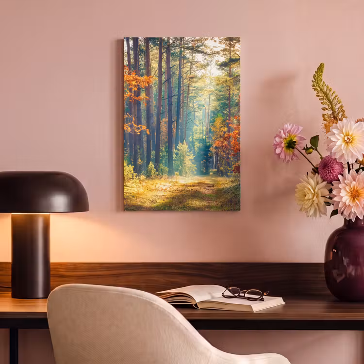 Canvas Print - Forest - Sun - Nature - Fall — 3
