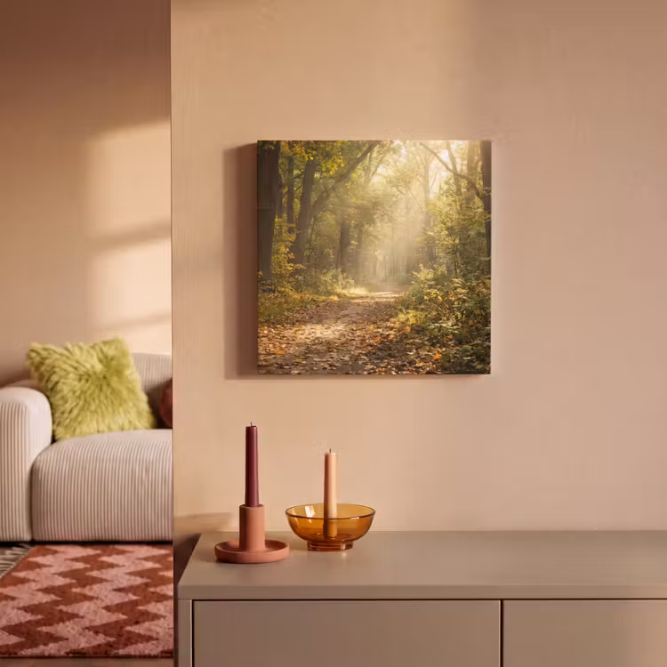 Canvas Print - Sunlight - Forest path - Trees — 1