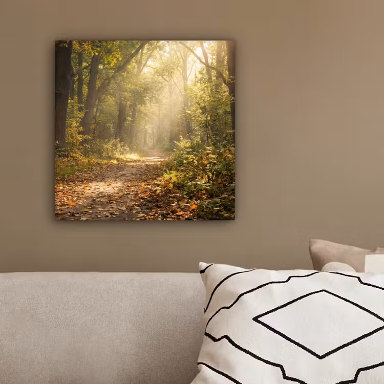 Canvas Print - Sunlight - Forest path - Trees — 2