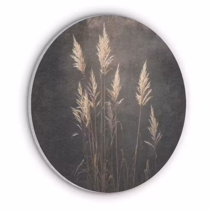 Acoustic painting round - Ornamental grass - Plumes - Lighting - Black