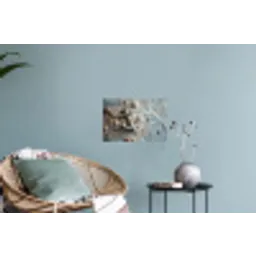 Anker - Hout - Schelpen - Zand Muursticker klein -plant