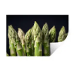 Asperges - Groen - Zwart Muursticker klein -3d