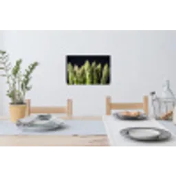 Asperges - Groen - Zwart Muursticker klein -eettafel