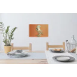 Kerkuil - Koksmuts - Oranje - Vogel Muursticker klein -eettafel