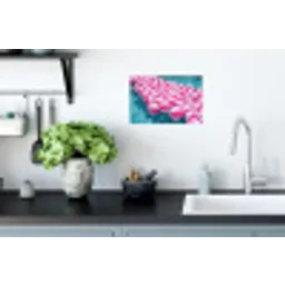 Strandballen - Roze - Water Muursticker klein -keuken