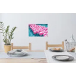 Strandballen - Roze - Water Muursticker klein -eettafel