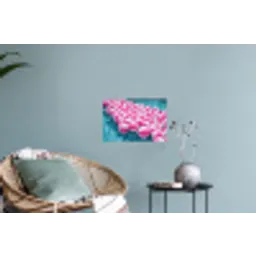 Strandballen - Roze - Water Muursticker klein -plant