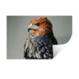 Vogel - Realistisch - Veren - Bruin Muursticker klein -3d