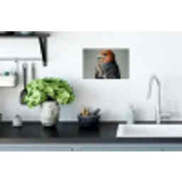 Vogel - Realistisch - Veren - Bruin Muursticker klein -keuken