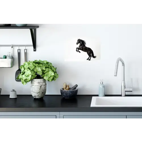 Zwart - Paard - Portret Muursticker klein -keuken