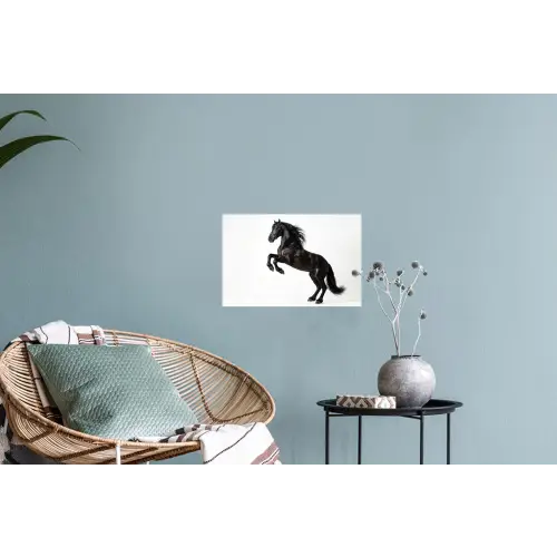 Zwart - Paard - Portret Muursticker klein -plant