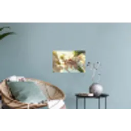 Bloesems - Zonlicht - Quote - Wit Muursticker klein -plant