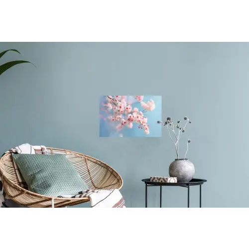 Takken - Bloesems - Roze Muursticker klein -plant