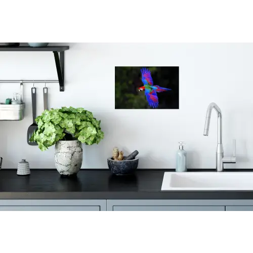 Felgekleurd - Papegaai - Bos - Vleugels Muursticker klein -keuken