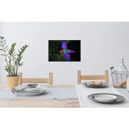 Felgekleurd - Papegaai - Bos - Vleugels Muursticker klein -eettafel