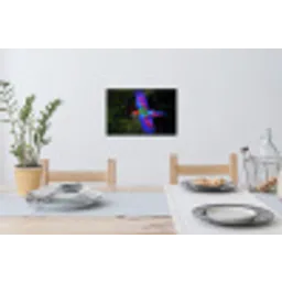 Felgekleurd - Papegaai - Bos - Vleugels Muursticker klein -eettafel