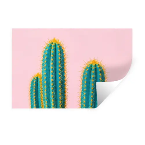 Cactussen - Modern - Pastel Muursticker klein -3d