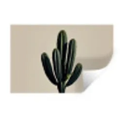 Cactus - Subtiel - Groen Muursticker klein -3d