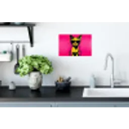 Kat - Art - Zonnebril - Roze Muursticker klein -keuken
