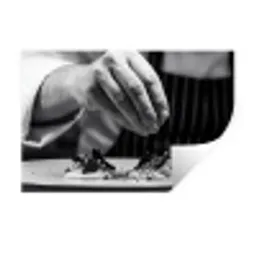 Chef - Garnering - Gerecht Muursticker klein -3d