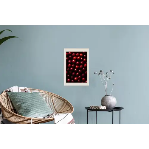 Kersen - Rood Muursticker klein -plant