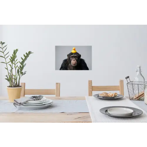 Chimpansee - Badeend - Grijs Muursticker klein -eettafel