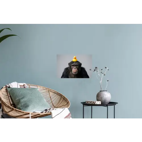 Chimpansee - Badeend - Grijs Muursticker klein -plant