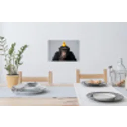 Chimpansee - Badeend - Grijs Muursticker klein -eettafel
