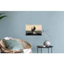 Cirkels - Schaduw - Abstract Muursticker klein -plant