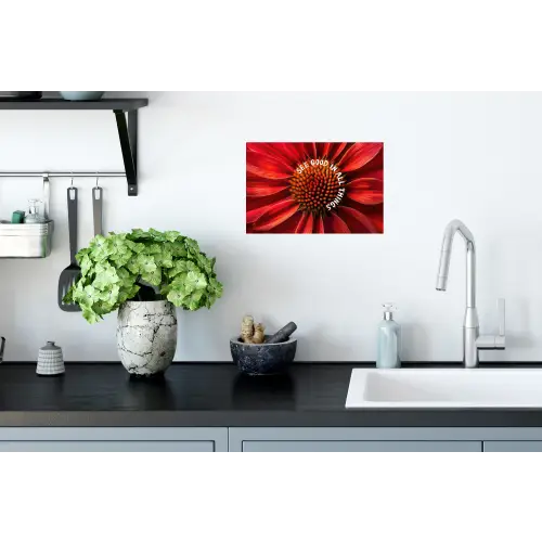 Close up - Bloem - Quote - Rood Muursticker klein -keuken