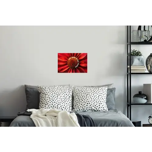 Close up - Bloem - Quote - Rood Muursticker klein -slaapkamer