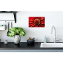 Close up - Bloem - Quote - Rood Muursticker klein -keuken