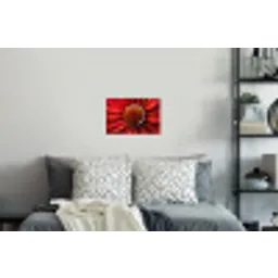 Close up - Bloem - Quote - Rood Muursticker klein -slaapkamer