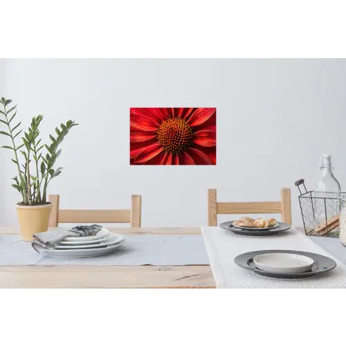Close up - Bloem- Rood Muursticker klein -eettafel