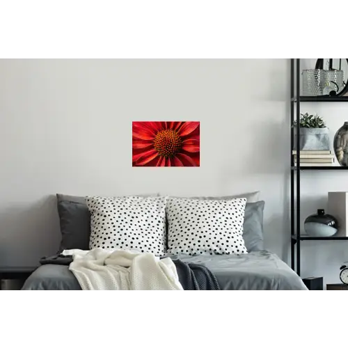 Close up - Bloem- Rood Muursticker klein -slaapkamer