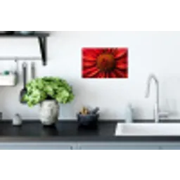 Close up - Bloem- Rood Muursticker klein -keuken