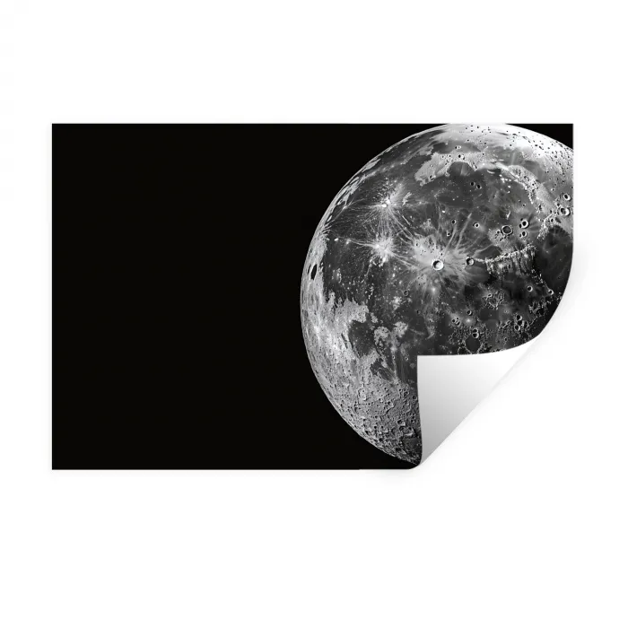 Close-up - Maan - Wit - Textuur Muursticker klein -3d