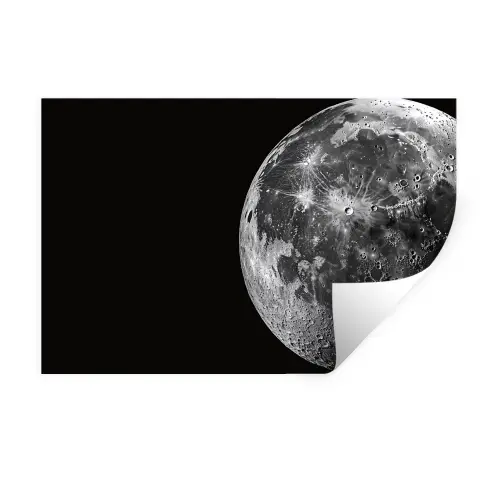 Close-up - Maan - Wit - Textuur Muursticker klein -3d