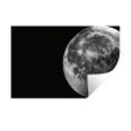 Close-up - Maan - Wit - Textuur Muursticker klein -3d