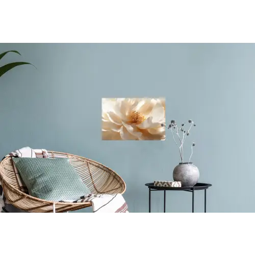 Close up - Pioenroos - Wit Muursticker klein -plant