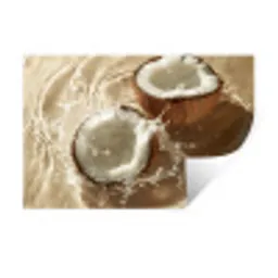 Kokosnoot - Water - Beige - Spetters Muursticker klein -3d
