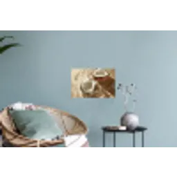 Kokosnoot - Water - Beige - Spetters Muursticker klein -plant