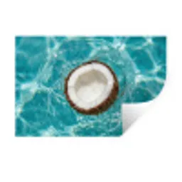 Kokosnoot - Water - Wit Muursticker klein -3d
