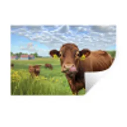 Koe - Weide - Bloemen Muursticker klein -3d