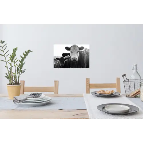 Koeien - Zwart - Wit Muursticker klein -eettafel