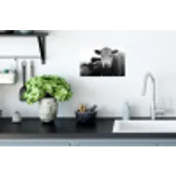 Koeien - Zwart - Wit Muursticker klein -keuken