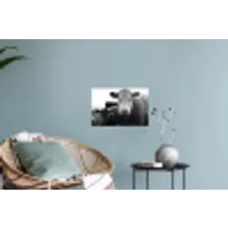 Koeien - Zwart - Wit Muursticker klein -plant