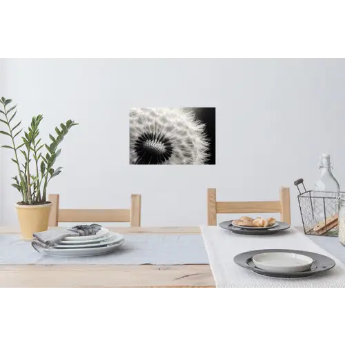 Paardenbloem - Zwart - Wit Muursticker klein -eettafel